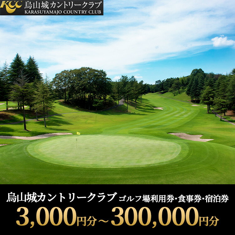 【ふるさと納税】【選べる金額】烏山城カントリークラブ ゴルフ場利用券・食事券・宿泊券 3,000円分～300,000円分