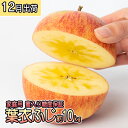 【ふるさと納税】年内 蜜入り糖度保証 葉衣ふじ 約10kg 家庭用【12月・青森りんご・葉取らず・JA津軽みらい(板柳）】　果物類・林檎・りんご・リンゴ　お届け：2024年12月10日～2024年12月28日