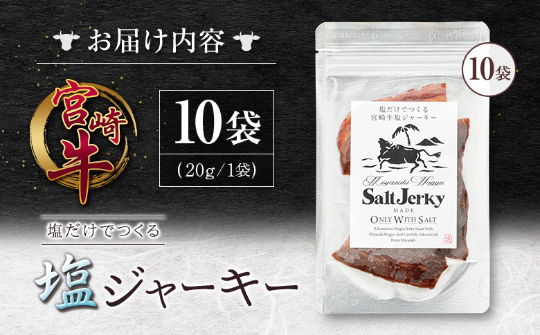 塩だけでつくる 宮崎牛 塩ジャーキー 10袋（20g×10袋）ブランド牛 ビーフジャーキー おつまみ 珍味 グルメ 干し肉 宮崎県産