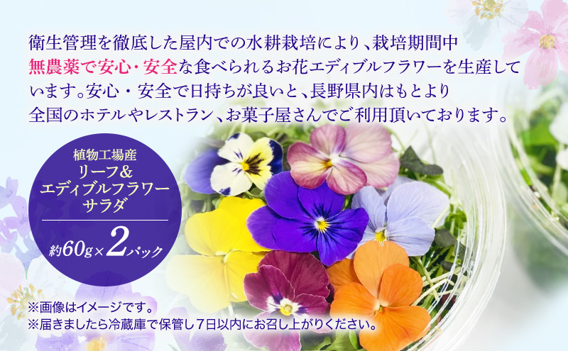 栽培期間中無農薬で安心！屋内水耕栽培で育てたリーフ＆エディブルフラワーサラダ×2カップ 信州野菜のマイクロリーフ入り！ 食用花 お花 野菜 料理 サラダ