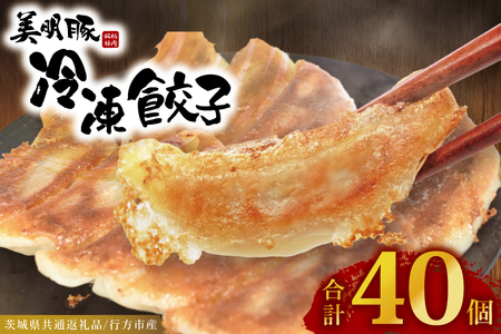 冷凍餃子 40個（20個×2袋） 美明豚 餃子 （茨城県共通返礼品・行方市産）_DS013