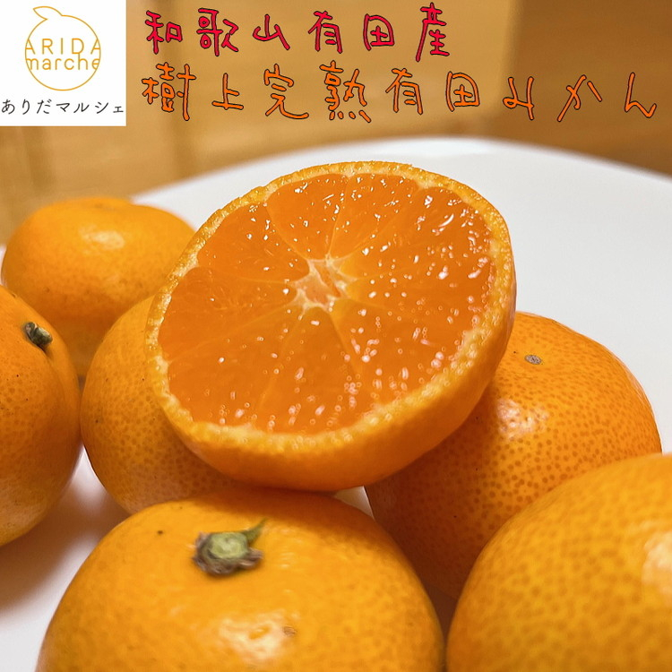 
                  ＼発送時期が選べる／ 【先行予約】【農家直送】【和歌山県産】こだわりの樹上完熟有田みかん（2S～Lサイズ混合）5kg【発送時期指定可】みかん ミカン 有田みかん 温州みかん 柑橘 有田 和歌山【ard150_cho】
                