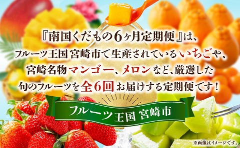《2026年発送先行予約》南国くだもの6ヶ月定期便_M348-T003