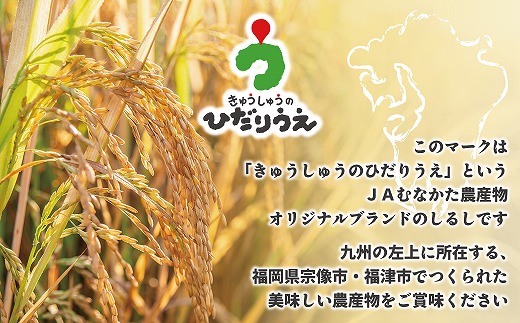 【米定期便】【年6回偶数月】【2026年2月発送開始】JAよりお届け！福岡県ブランド米「夢つくし」10kg（5kg×2袋）×6回 計60kg[G5062]