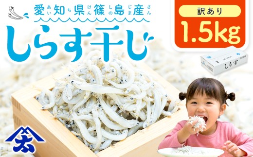 【スピード発送】＜篠島産＞ 訳あり しらす干し1.5kg シラス 南知多産 愛知