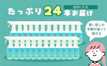 部分洗い洗剤　無香料　緑の魔女エリソデプレウォッシュ　280mL×24 | 洗剤 洗剤 洗剤 洗剤 洗剤