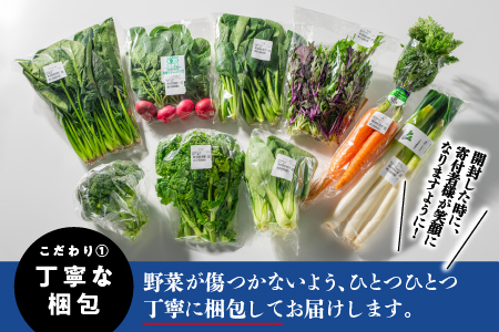 新鮮愛情たっぷり お野菜セット| 野菜 野菜セット 旬野菜セット 6～10品目 野菜セット詰合せ SP-2