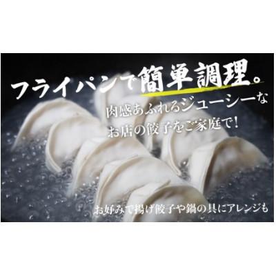 ふるさと納税 高山市 豪華!飛騨牛肉餃子ファミリーパック(50個入)生冷凍 a597 |  | 02