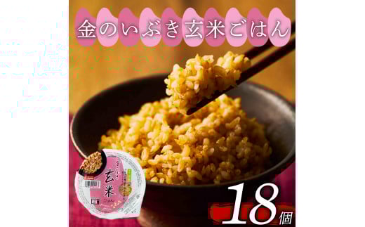 玄米ごはんパック 160g 18個 玄米 米 ごはん ご飯 こめ パックライス パックご飯 パックごはん ご飯パック ごはんパック パック ライス 備蓄 保存 非常 防災 電子 レンジ 温めるだけ レンチン 簡単 健康 ダイエット 美容 ヘルシー レトルト インスタント おいしい 人気 おすすめ 18 18食 おくさま印 金のいぶき 人気の玄米ご飯パック 美味しい玄米ご飯パック 大阪 松原