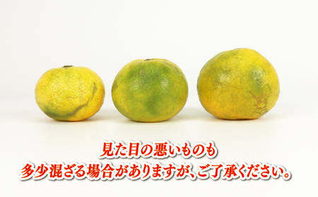 極早生みかん 家庭用 9kg サイズ不揃い 兵頭農園 みかん mikan 愛媛ミカン 愛媛みかん 愛媛蜜柑 極早生 温州みかん 温州 精品 規格外混合 不揃い 果物 くだもの フルーツ 柑橘 蜜柑 産