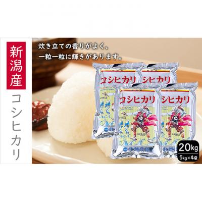 ふるさと納税 新潟市 新潟産 コシヒカリ 20kg[54071302]