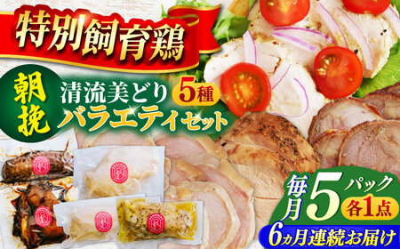 鶏肉 【6回定期便】 朝挽き 清流美どり バラエティ5点セット [ANDL013] 鶏肉
