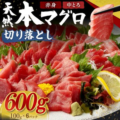 ふるさと納税 室戸市 【遠洋漁船高豊丸漁獲】天然本マグロ(赤身・中とろ)切落し600g　訳あり 魚介類加工品 15000円