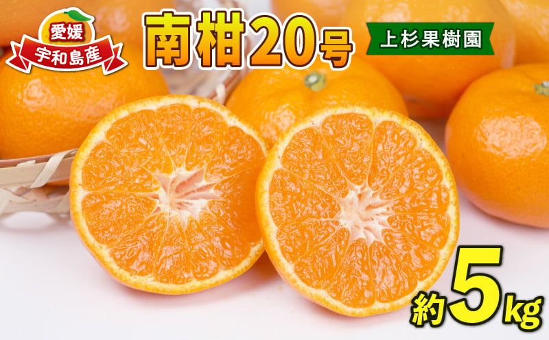 
                  【12月発送予定】 愛媛みかん 南柑20号 5kg MまたはL サイズ 上杉果樹園 温州蜜柑 温州みかん 温州 mikan 愛媛ミカン 愛媛蜜柑 みかん ミカン 蜜柑 果物 フルーツ 柑橘 農家直送 産地直送 数量限定 国産 愛媛 愛媛産 宇和島 B010-056004
                