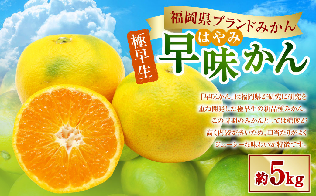 
            福岡県ブランドみかん「早味かん」5kg みかん オレンジ 果物 フルーツ 冷蔵 福岡県産 【2025年9月下旬-10月下旬発送予定】
          