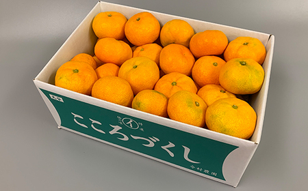 【訳あり・優品】今村農園のハウスみかん 約4kg 訳あり 九州 ＜107-003_7＞