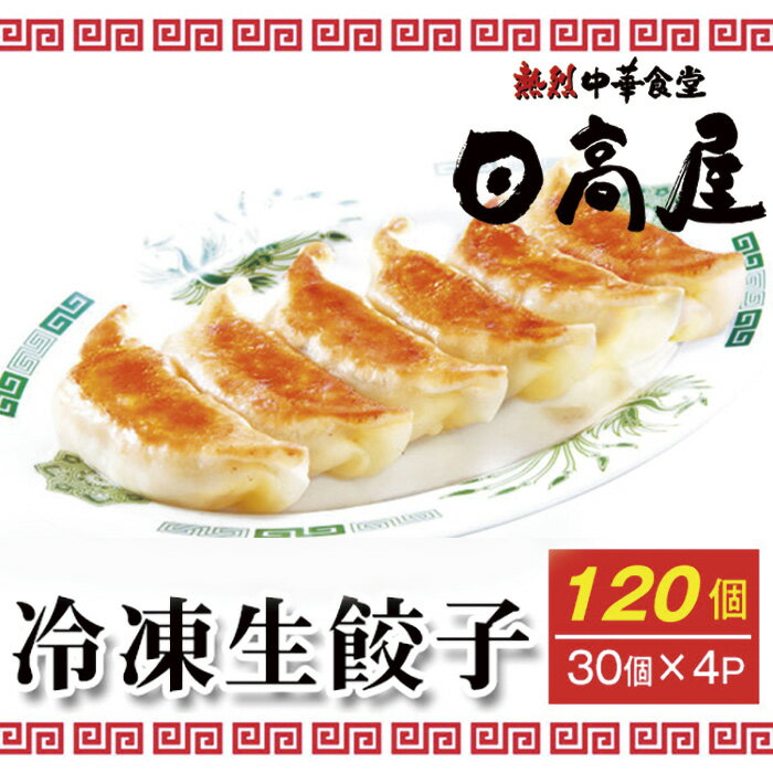 【ふるさと納税】No.308 日高屋 冷凍生餃子 【120個】 ／ ぎょうざ ギョーザ 送料無料 埼玉県