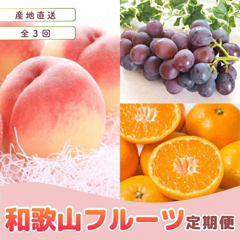 【ふるさと納税】 【定期便全3回】産直・和歌山フルーツ定期便（桃・ピオーネ・有田みかん） | フルーツ 果物 くだもの 食品 人気 おすすめ 送料無料 定期便 産地直送