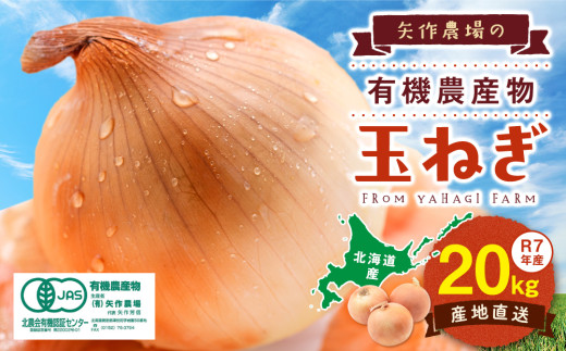 R7年産先行受付 有機農産物 玉ねぎ 20kg (有)矢作農場 | 北海道津別町 