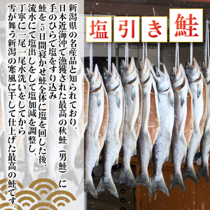 【国産塩引き鮭切身】 約900g 塩引き 鮭 さけ サーモン 半身 個包装 I36_04