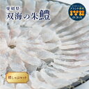 【ふるさと納税】鱧 冷凍 鱧しゃぶセット 鍋 3～4人前 伊予市 愛媛県産 国産 | B102