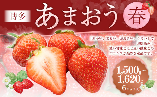 博多あまおう6パック（春） 250g～270g×6パック 合計約1500g～1620g あまおう いちご 苺 イチゴ フルーツ 果物 くだもの【2027年2月上旬-4月下旬発送予定】
