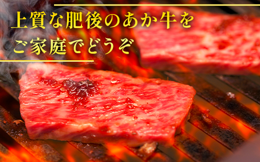 【定期便3回】熊本県産 和牛 肥後のあか牛 焼肉用 500g ×3回 計1.5kg 牛肉 焼き肉 定期便 焼肉 やきにく 焼き肉 定期便 3回 熊本県産 黒毛和牛 A5 上質 牛肉 030-0692