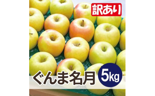 ＜25年12月より順次発送＞平均糖度13度以上! ぐんま名月 約5kg 訳あり【1610376】