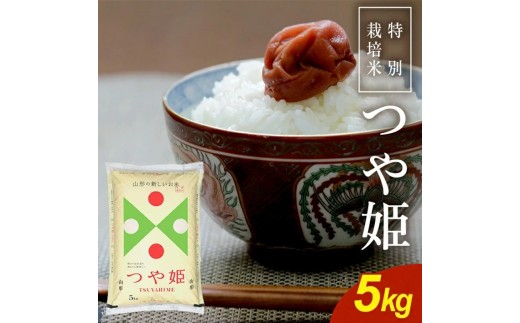 特別栽培米 つや姫 5kg 令和7年産米 農産物検査員おすすめ 庄内米 東北 山形県 酒田市 庄内地方 庄内平野 米 お米 精米 白米 ブランド米 ごはん ご飯 SY 荘内米穀商業協同組合　SA2961