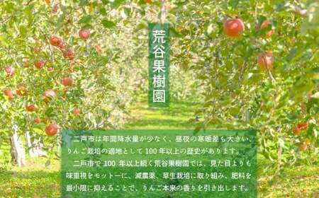 【訳あり】 サンふじ 約5kg 家庭用／わけあり りんご リンゴ フルーツ 果物 岩手 【2025年12月発送予定】