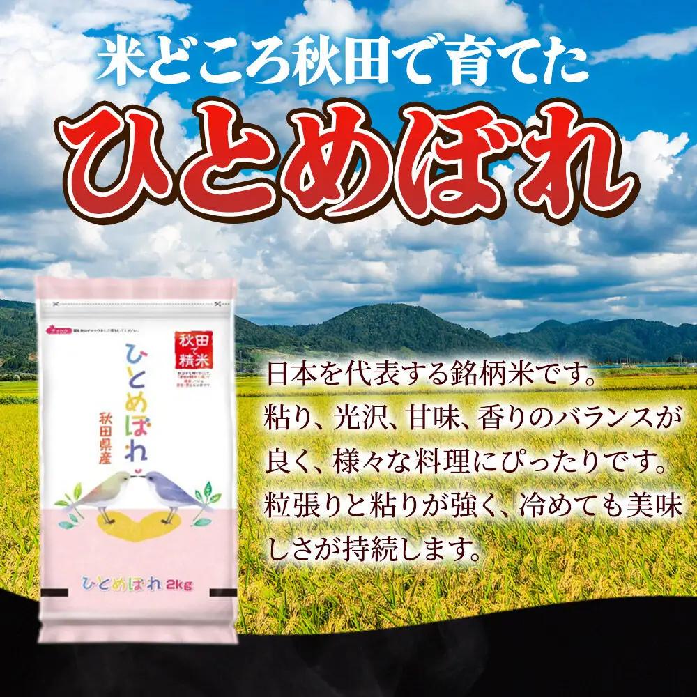 米《定期便5ヶ月》ひとめぼれ・めんこいな【白米（一般精米）】 米どころ秋田県産 令和8年産 精米 4kg（2kg×2袋）