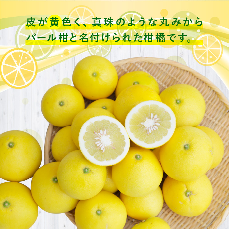 S040-022_農家の手摘み パール柑 9kg以上〈先行予約〉 9kg以上