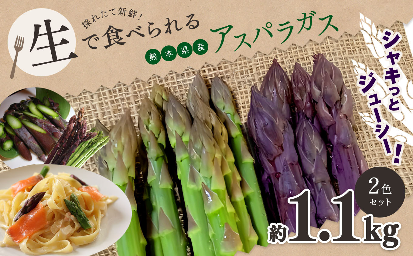 
                  生で食べれる ‼ アスパラガス 2色 セット（ グリーン ・ パープル  ）約 1.1kg ｜ 野菜 アスパラ ソムリエ 新鮮 健康 熊本県産 熊本 玉名 くまもと たまな
                