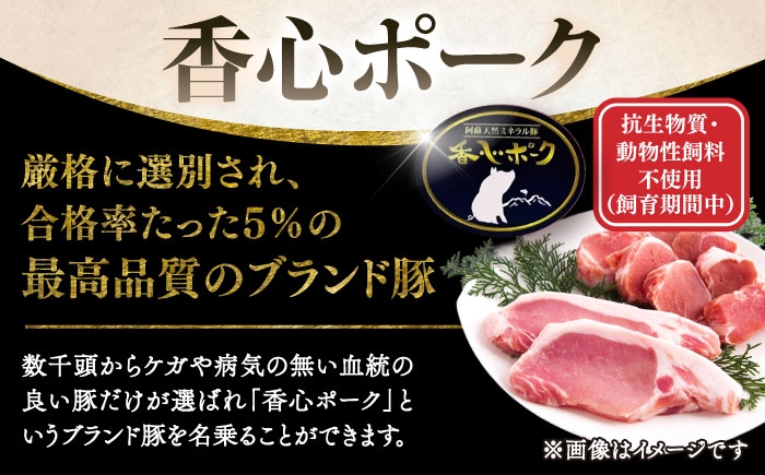 豚肉 ぶたにく ぶた肉 ブタ肉 ブタ ポーク 冷凍 ブランド ブランド豚 菊陽 熊本