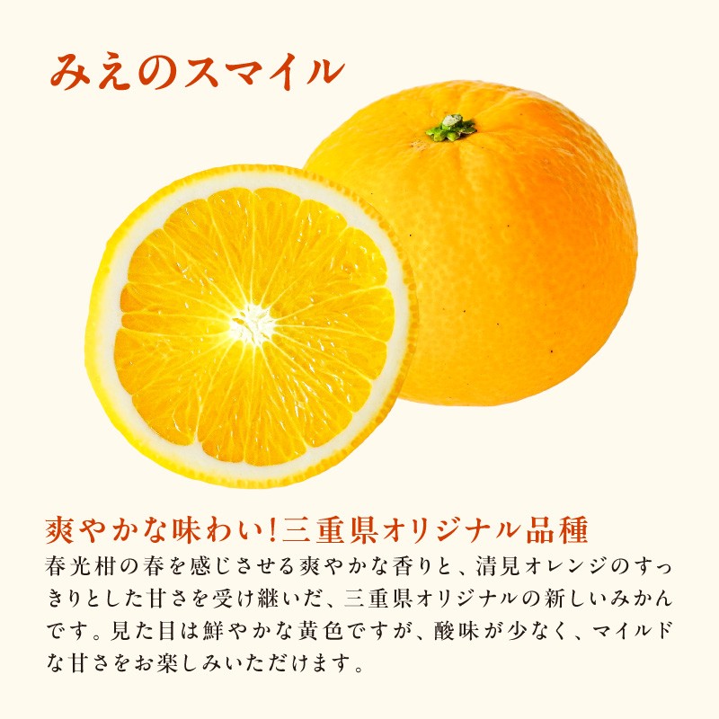 【2027年発送 先行予約品】