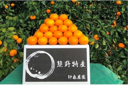 【12月25日受付終了】仲森農園の完熟熊野みかん 3kg【11月下旬から12月下旬に発送】みかん ミカン 蜜柑 温州みかん 柑橘 フルーツ 果物 産地直送 三重県 熊野市 熊野【nkmr0009】