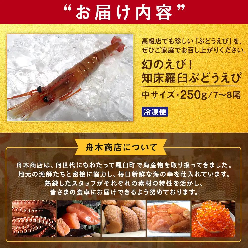 羅臼産 幻のぶどうえび（中250g /7～8尾) 知床 エビ 北海道