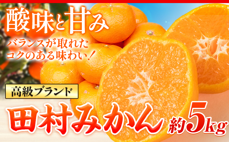 【先行予約】みかん 高級ブランド 田村みかん 5kg 株式会社魚鶴商店《11月下旬-2月上旬頃出荷(土日祝除く)》和歌山県 日高町 柑橘 フルーツ くだもの 果物---wsh_uot92_11g2j_25_17000_5kg---