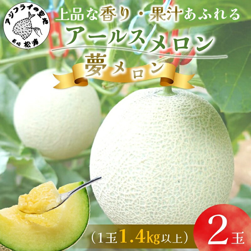 【ふるさと納税】＼お中元熨斗対応／1.4kg以上！大玉アールスメロン　夢メロン2玉入り【B0-202】メロン アールスメロン 大玉 大きい 甘い 果物 フルーツ 期間限定