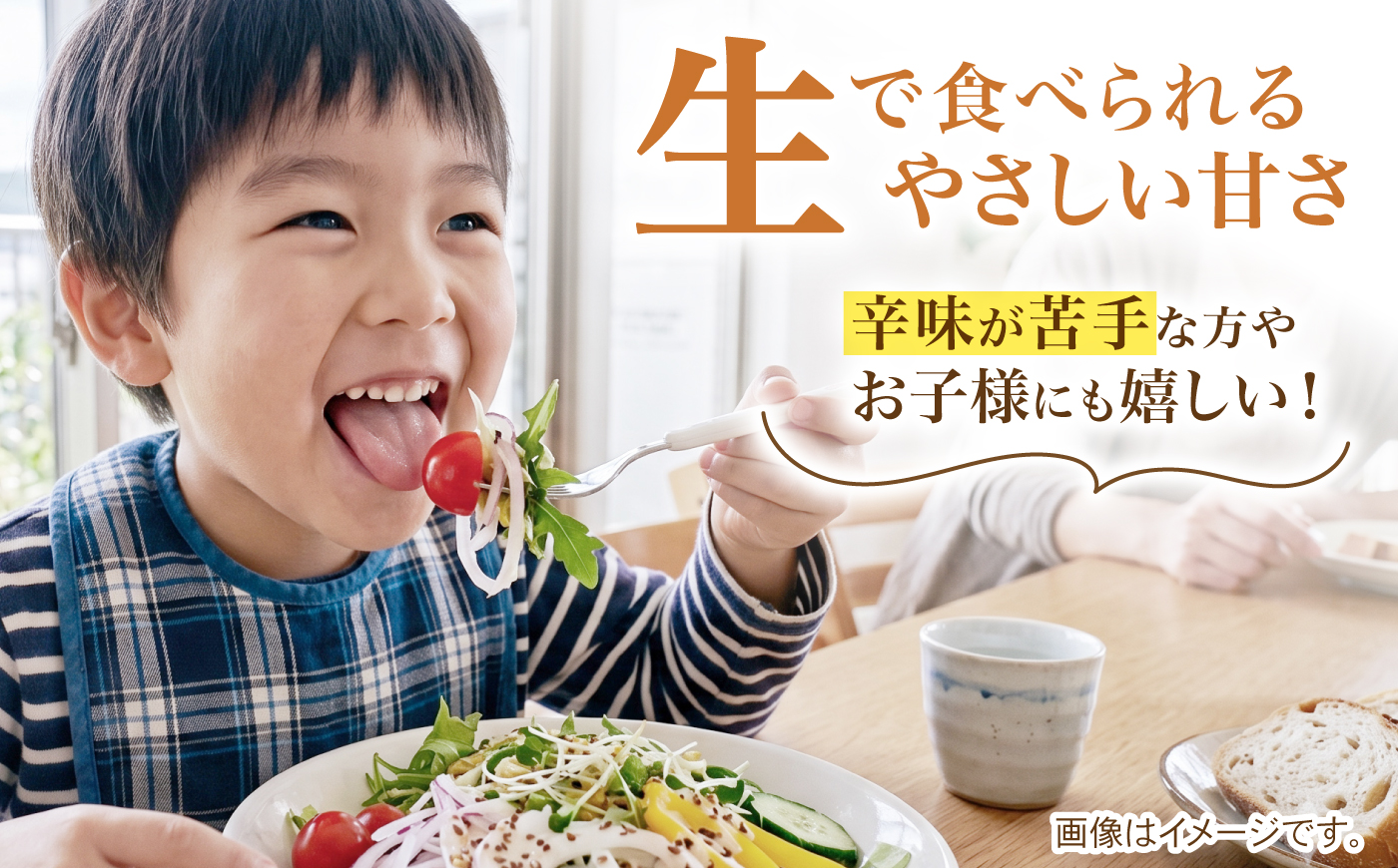 【先行予約 2027年1月～発送】種から栽培するこだわり！冬どりたまねぎ5kg【藤武農産】 [IDM002]