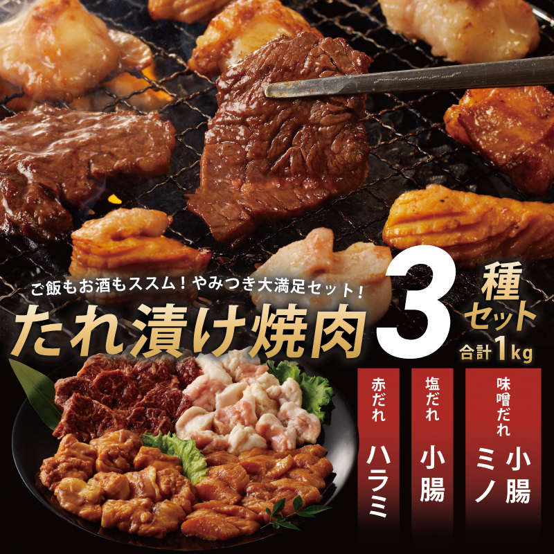 アキラ商店 3種盛り合わせセット 合計 1kg【焼肉用ホルモン 牛肉 ハラミ ミノ 小腸 焼くだけ 小分け BBQ やきにく 数量限定】 010B1521