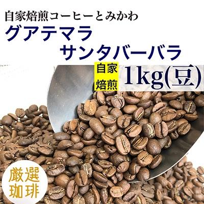 ふるさと納税 魚津市 【豆】グアテマラ　サンタバーバラ:1kg(自家焙煎コーヒーとみかわ)