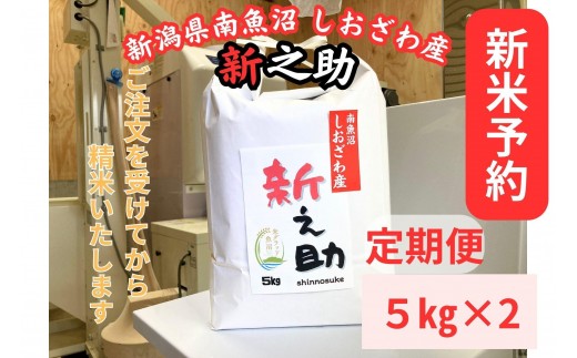 
                  【令和8年産・新米予約・定期便】新潟県南魚沼産　新之助　10kg×12か月　大粒でツヤがあるこれまでにないお米【定期便 銘柄米 ブランド米 精米 新之助 魚沼産 新潟米】【2026年10月中旬より1ヶ月以内に順次発送予定】
                