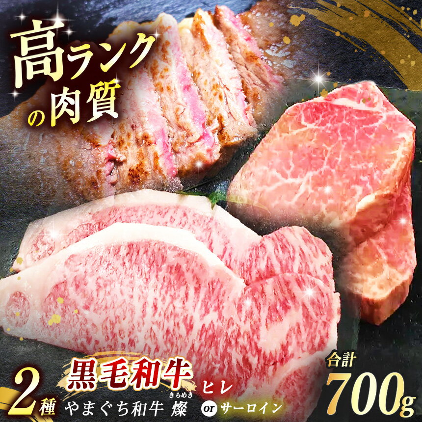 【ふるさと納税】数量限定！選べる 極上ステーキ やまぐち和牛 燦 (きらめき) ヒレ 300g / サーロイン 400g ｜ 山口 県 美祢市 牛肉 ブランド牛 黒毛和牛 ヒレステーキ サーロインステーキ サーロイン ヒレ 牛 肉 お肉 にく