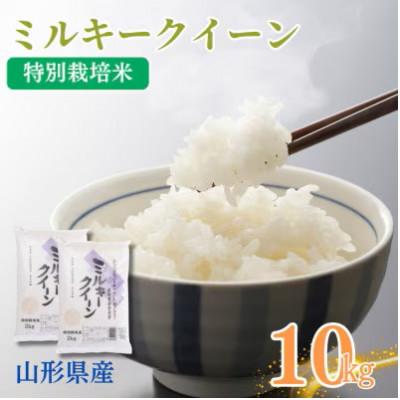 ふるさと納税 南陽市 令和7年産　山形県産特別栽培米　ミルキークイーン5kg×2袋(精米)【S2409】