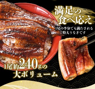 1尾で約240gのビッグサイズ うなぎ蒲焼 2尾 計約480g （タレ・山椒付き） 中国産 鰻 うなぎ うなぎの蒲焼 炭火焼き 炭火 特大サイズ【nks700】