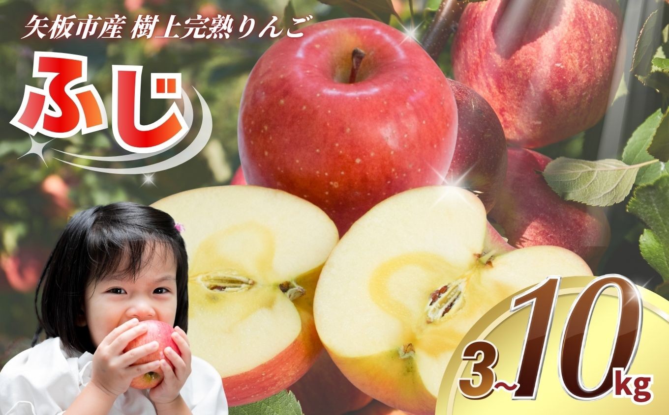 
                  [数量限定] 矢板市産 樹上完熟 りんご ふじ 3kg～10kg 箱【2026年 先行予約】｜リンゴ 林檎 フルーツ 果実 果物 スイーツ 産地直送 栃木県産 国産 先行予約
                