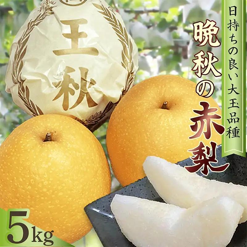 京丹後市 王秋梨 5kg｜梨