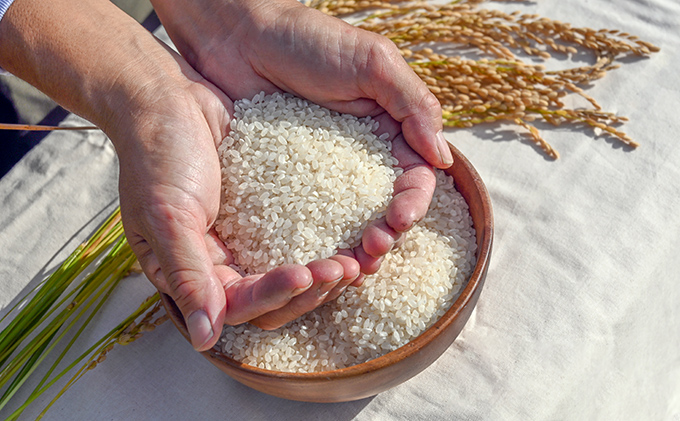 G-158【農薬・化学肥料不使用】循環農法で育てた自然の恵みいっぱいの『たから米(玄米５キロ)』