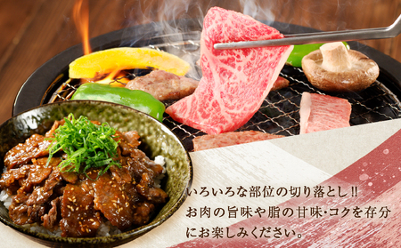 ≪数量限定≫うなぎ×宮崎牛 都農町最強セットC 肉 牛 牛肉 焼肉 国産_T030-073【人気 うなぎ 肉 ギフト うなぎ 肉 食品 うなぎ 肉 おかず うなぎ 肉 お土産 うなぎ 肉 贈り物 うな